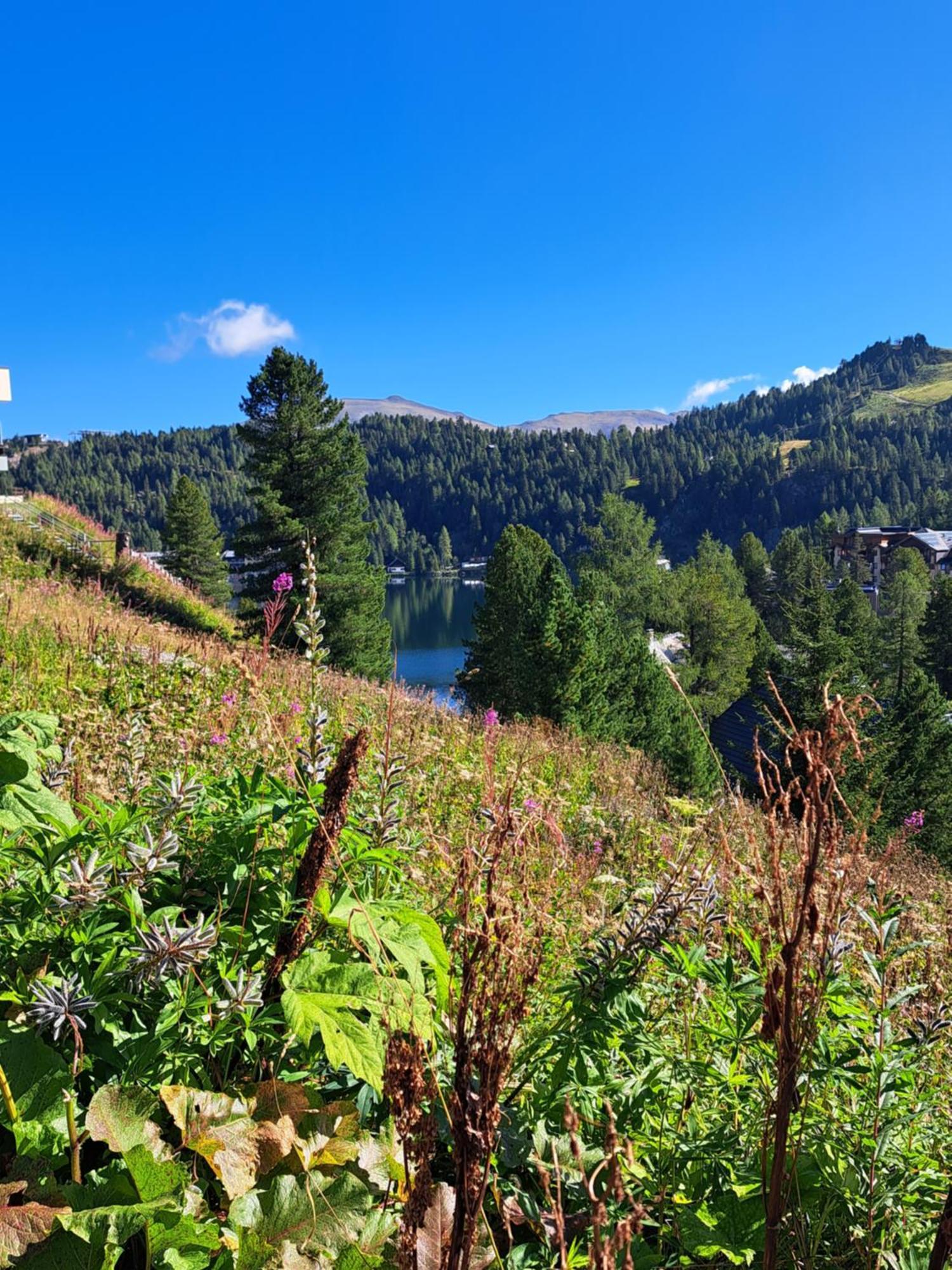 Schwabenhutte Villa Sirnitz-Sonnseite Esterno foto