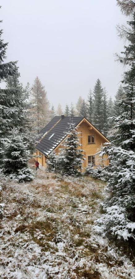 Schwabenhutte Villa Sirnitz-Sonnseite Esterno foto